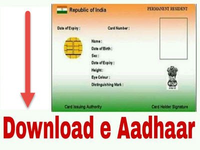  Keep your Aadhaar card or enrolment number ready

If you don’t have your Aadhaar: Keep your enrolment number along with the time and date provided in the acknowledgement slip ready.
If you have your Aadhaar number: Keep your Aadhaar number handy.

Visit UIDAI website

Log on to the official UIDAI website and see the section titled Aadhaar online services. One of the menu options under this will be ‘download Aadhaar.’ Click here and enter all the required details accurately. This includes the following:

Enrolment ID/ Aadhaar number/ VID
Full name
Pin code
Security code

Request for TOTP/ OTP

Once this gets completed, you’ll come to the section where you must enter a TOTP. If you don’t have it, click on ‘request OTP’.

Enter OTP

You will receive an OTP within a few seconds. Enter the same into the field provided.

Download the e-Aadhaar PDF

To open the e-Aadhaar PDF file, you will need to enter a password. Your password will be the first four letters of your name along with your birth year. Ensure the letters of your name are entered in capitals. For instance, if your name is THOMAS and your birth year is 1989, your password will be THOM1989.