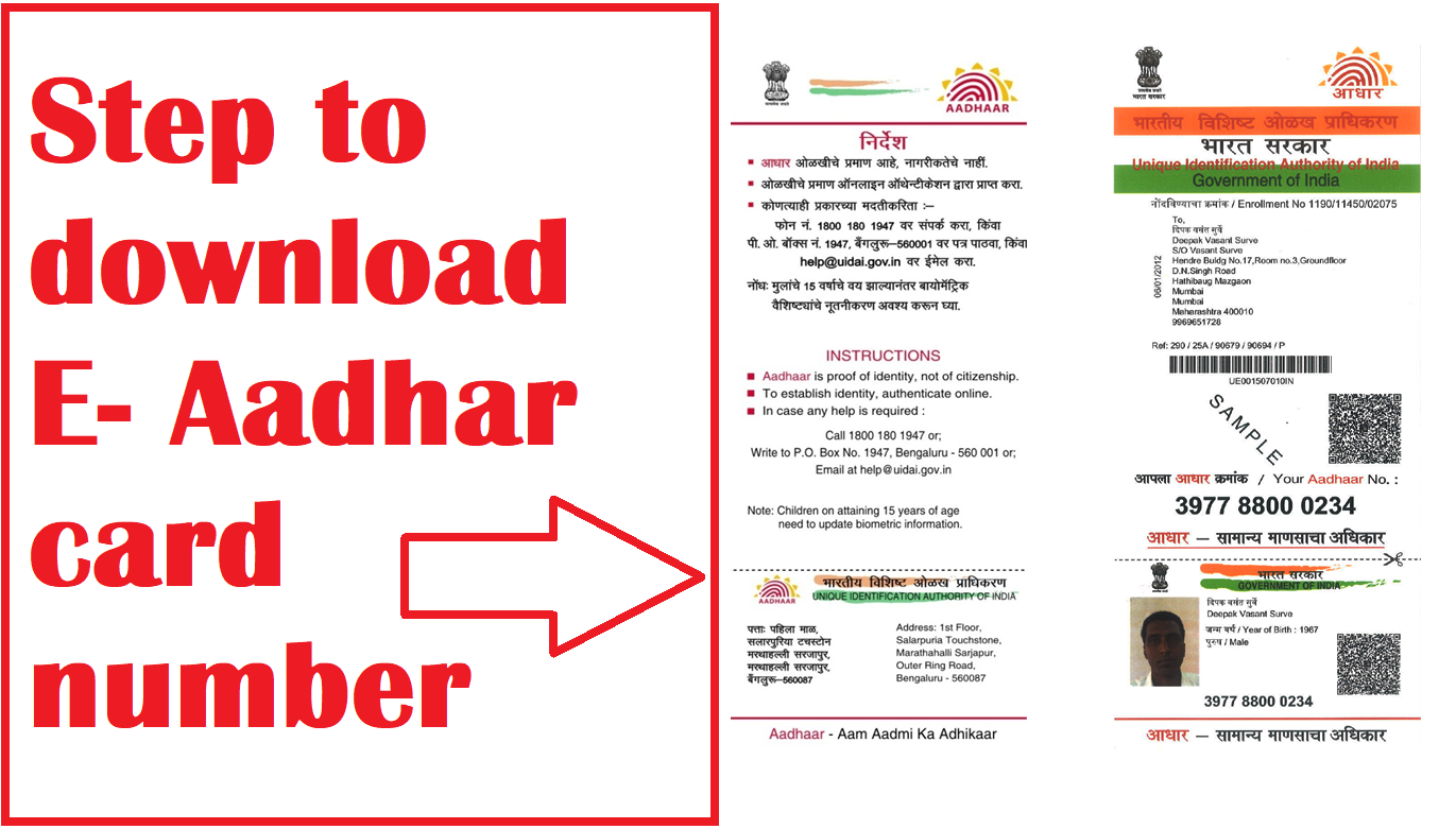 UIDAI E Aadhar, e aadhar download, download aadhar card pdf, aadhar card link with mobile number, my aadhar, check aadhar status, check aadhar update status, uidai aadhar update, e-aadhar,