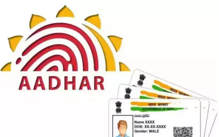My Aadhar Card, my aadhar card download, aadhar card link with mobile number, my aadhar card number, aadhar card status, download aadhar card pdf, pvc aadhar card, aadhar card update,