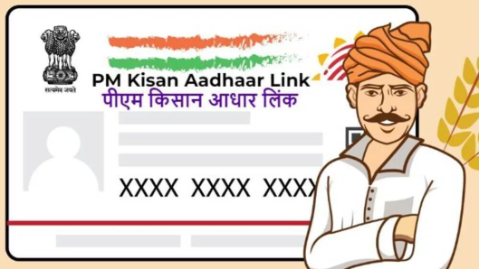 PM Kisan Aadhaar Link Mobile Number, PM Kisan.gov.in Registration, PM Kisan Status, PM Kisan kyc Update Online 2022, PM Kisan Aadhaar Link 2022, PM Kisan.gov.in Registration 2022, PM Kisan kyc Mobile, PM Kisan.gov.in Login,