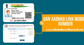 UAN Aadhar Link Mobile Number, Link your UAN with an Aadhaar card sitting at home, know what things will be required and what is the whole process.